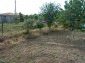 The land